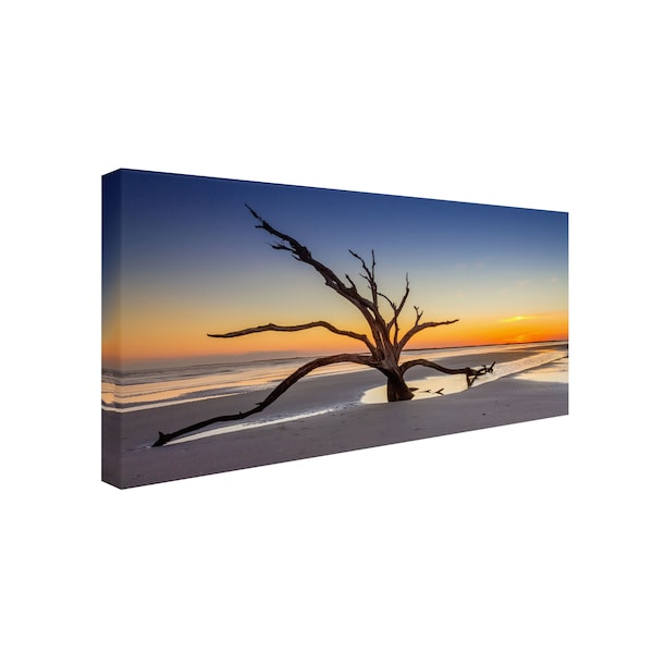 Pierre Leclerc 'Dead Tree Sunset' Canvas Art,16x32